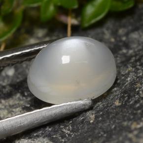 Pietra di luna naturale bianco da 1,58 ct, taglio ovale, traslucido