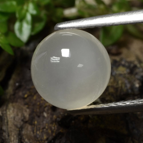 Pietra di luna Bianco caldo naturale da 2.39 ct, Taglio rotondo, Traslucido