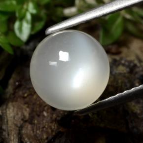 Pietra di luna Bianco caldo naturale da 2.39 ct, Taglio rotondo, Traslucido
