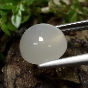 Pietra di luna Bianco caldo naturale da 2.39 ct, Taglio rotondo, Traslucido