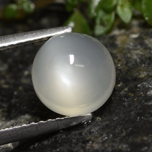 Pietra di luna naturale bianco da 2,60 ct, taglio rotondo, traslucido