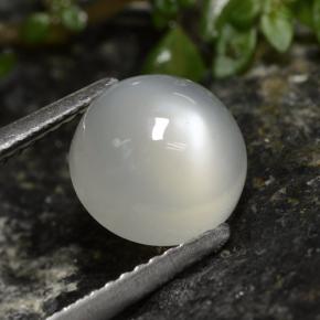Pietra di luna naturale bianco da 2,60 ct, taglio rotondo, traslucido