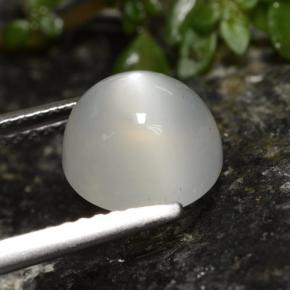 Pietra di luna naturale bianco da 2,60 ct, taglio rotondo, traslucido