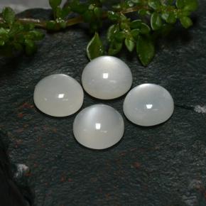 Pietra di luna naturale bianco da 8,05 ct, taglio rotondo, traslucido