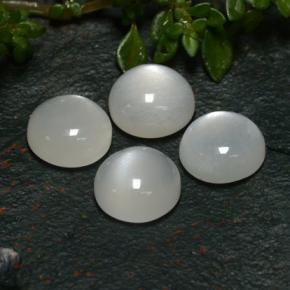 Pietra di luna naturale bianco da 8,05 ct, taglio rotondo, traslucido