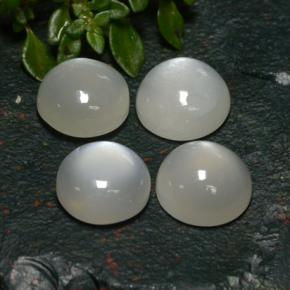 Pietra di luna naturale bianco da 8,31 ct, taglio rotondo, traslucido
