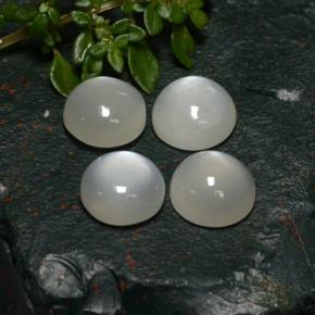 Pietra di luna naturale bianco da 8,31 ct, taglio rotondo, traslucido