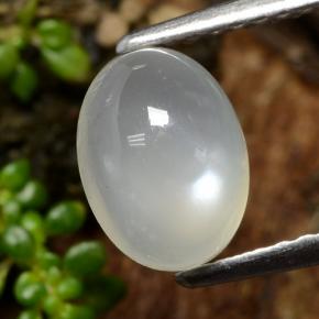 Pietra di luna Bianco caldo naturale da 1.53 ct, Taglio ovale, Traslucido
