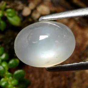 Pietra di luna Bianco caldo naturale da 1.53 ct, Taglio ovale, Traslucido