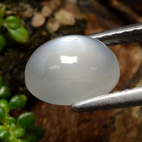 Pietra di luna Bianco caldo naturale da 1.53 ct, Taglio ovale, Traslucido
