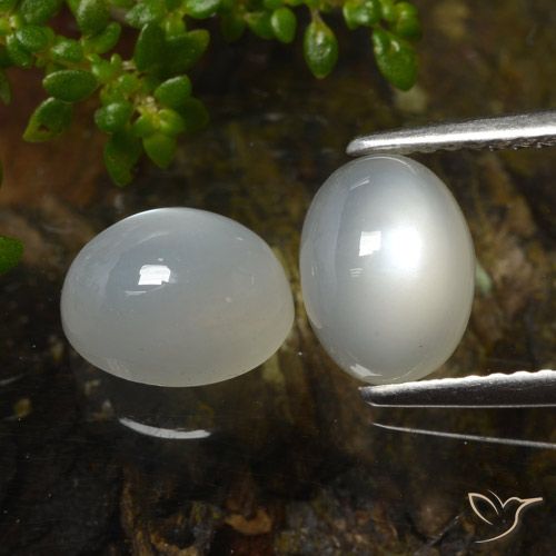 Gemme di Pietra di luna Bianco caldo naturale da 3.27 ct, Taglio ovale, Traslucido