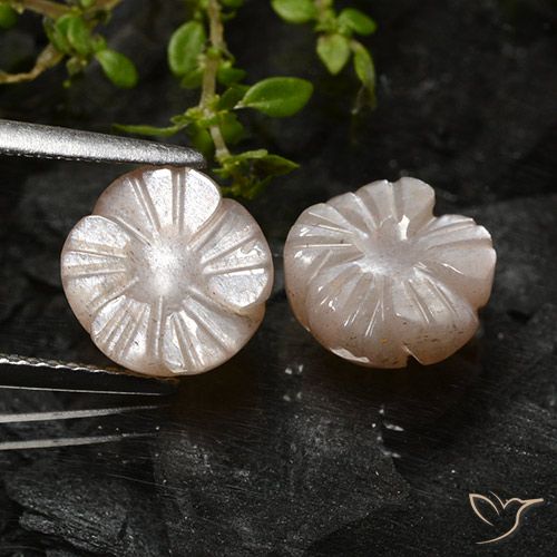 5.08ctw Naturale Marrone Caramello Chiaro Pietra di luna, Taglio a fiore, Traslucido