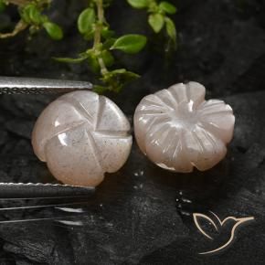Gemme di Pietra di luna Marrone Caramello Chiaro naturale da 5.08 ct, Taglio a fiore, Traslucido