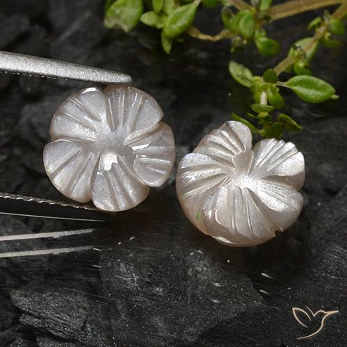 4.73ctw Naturale Marrone Molto Chiaro Pietra di luna, Taglio a fiore, Traslucido