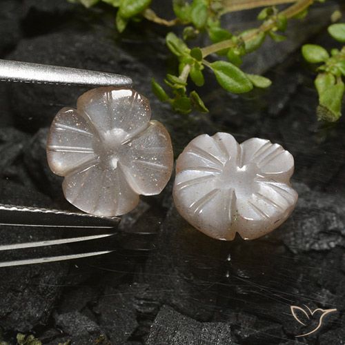3.96ctw Naturale Marrone chiaro caldo Warm Pietra di luna, Taglio a fiore, Traslucido