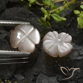 Gemme di Pietra di luna Marrone chiaro caldo Warm naturale da 3.96 ct, Taglio a fiore, Traslucido