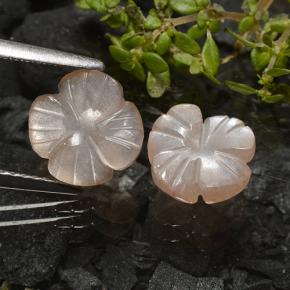 Gemme di Pietra di luna Marrone Molto Chiaro naturale da 3.29 ct, Taglio a fiore, Traslucido