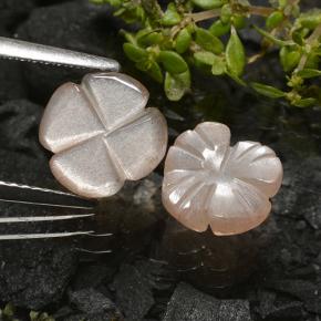 Gemme di Pietra di luna Marrone Molto Chiaro naturale da 3.29 ct, Taglio a fiore, Traslucido