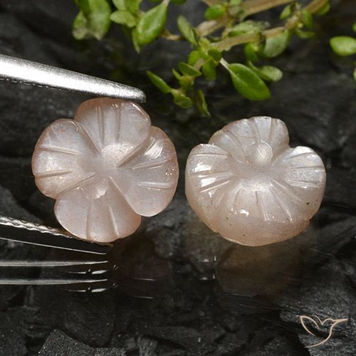 5.09ctw Naturale Marrone Caramello Chiaro Pietra di luna, Taglio a fiore, Traslucido