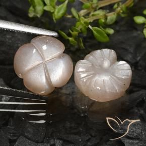 Gemme di Pietra di luna Marrone Caramello Chiaro naturale da 5.09 ct, Taglio a fiore, Traslucido