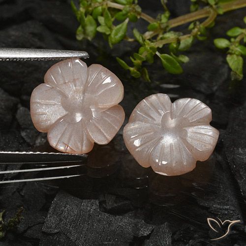 6.87ctw Naturale Marrone Caramello Chiaro Pietra di luna, Taglio a fiore, Traslucido