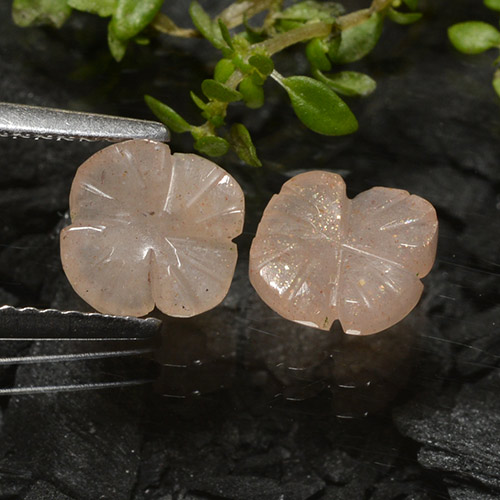 Pietra di luna naturale marrone da 2,08 ct, taglio fiore, traslucido
