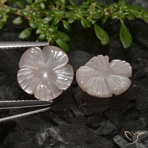 4.91ctw Naturale Marrone Chiaro Di Arachidi Pietra di luna, Taglio a fiore, Traslucido