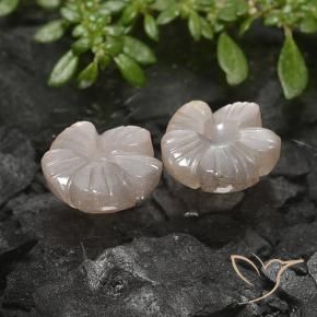 Gemme di Pietra di luna Marrone Molto Chiaro naturale da 5.49 ct, Taglio a fiore, Traslucido