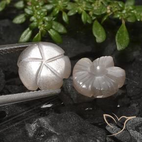 Gemme di Pietra di luna Marrone Molto Chiaro naturale da 5.49 ct, Taglio a fiore, Traslucido