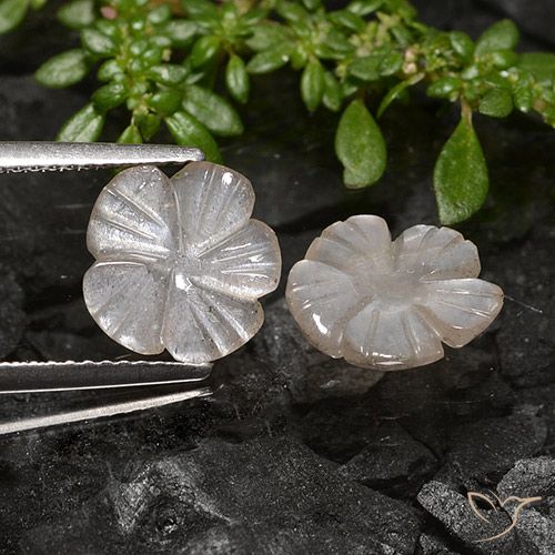 3.40ctw Naturale Marrone Chiaro Di Arachidi Pietra di luna, Taglio a fiore, Traslucido