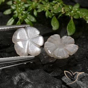 Gemme di Pietra di luna Marrone Chiaro Di Arachidi naturale da 3.40 ct, Taglio a fiore, Traslucido