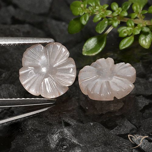 4.41ctw Naturale Marrone Caramello Chiaro Pietra di luna, Taglio a fiore, Traslucido