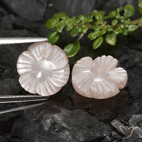 7.56ctw Naturale Marrone Molto Chiaro Pietra di luna, Taglio a fiore, Traslucido