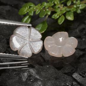 Gemme di Pietra di luna Marrone Molto Chiaro naturale da 3.10 ct, Taglio a fiore, Traslucido