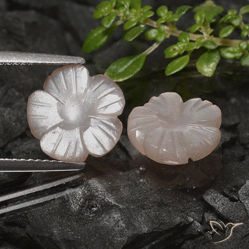 4.83ctw Naturale Marrone Caramello Chiaro Pietra di luna, Taglio a fiore, Traslucido, Photo A