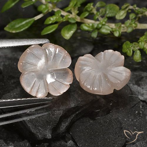 4.26ctw Naturale Marrone Molto Chiaro Pietra di luna, Taglio a fiore, Traslucido