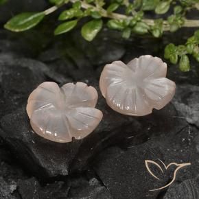 Gemme di Pietra di luna Marrone Molto Chiaro naturale da 4.26 ct, Taglio a fiore, Traslucido