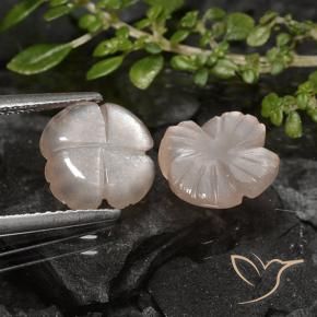 Gemme di Pietra di luna Marrone Molto Chiaro naturale da 4.26 ct, Taglio a fiore, Traslucido
