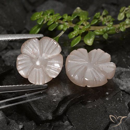 6.44ctw Naturale Marrone chiaro Pietra di luna, Taglio a fiore, Traslucido