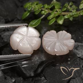 Gemme di Pietra di luna Marrone chiaro naturale da 6.44 ct, Taglio a fiore, Traslucido