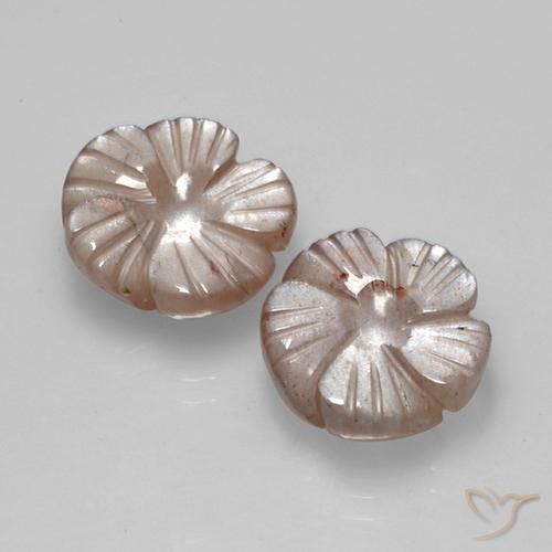 Gemme di Pietra di luna Marrone Chiaro naturale da 10.37 ct, Taglio a fiore, Traslucido