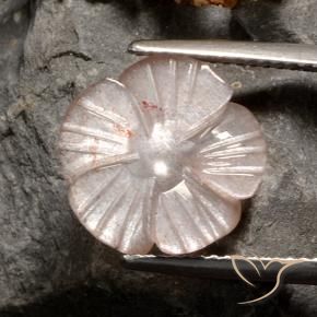 Pietra di luna Marrone neutro naturale da 4.07 ct, Taglio a fiore, Traslucido