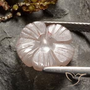 Pietra di luna Marrone neutro naturale da 4.07 ct, Taglio a fiore, Traslucido