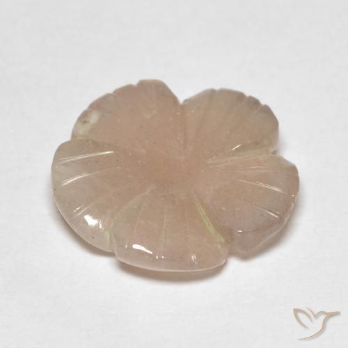 Pietra di luna Nude naturale da 4.13 ct, Taglio a fiore, Traslucido