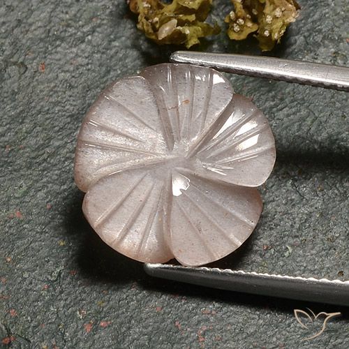 6.77ct Naturale Marrone Caramello Chiaro Pietra di luna, Taglio a fiore, Traslucido