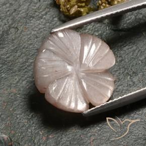 Pietra di luna Marrone Caramello Chiaro naturale da 6.77 ct, Taglio a fiore, Traslucido