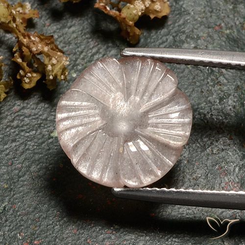 4.86ct Naturale Marrone Molto Chiaro Pietra di luna, Taglio a fiore, Traslucido