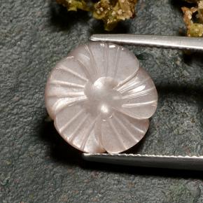Pietra di luna Marrone Molto Chiaro naturale da 6.27 ct, Taglio a fiore, Traslucido