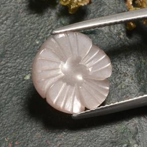 Pietra di luna Marrone Molto Chiaro naturale da 6.27 ct, Taglio a fiore, Traslucido