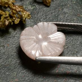 Pietra di luna Marrone Molto Chiaro naturale da 6.27 ct, Taglio a fiore, Traslucido